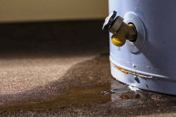 Best Water damage cleanup near me  in Sunnyside, CA