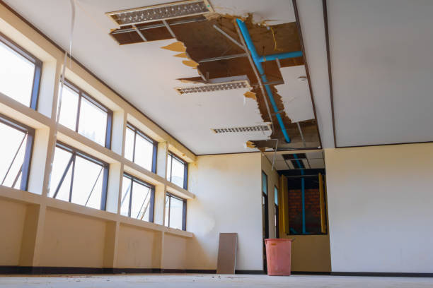 Best Flood damage cleanup  in Sunnyside, CA