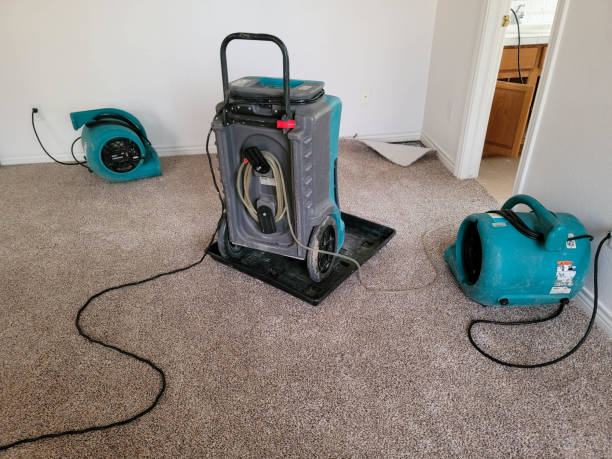 Best Emergency water damage restoration  in Sunnyside, CA