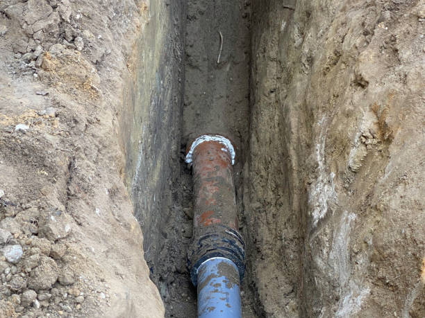 Best Flood restoration services  in Sunnyside, CA
