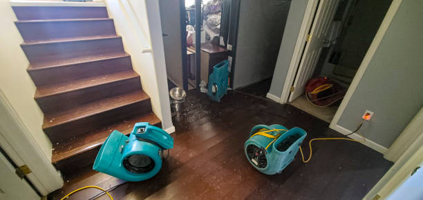 Best Carpet water damage restoration  in Sunnyside, CA