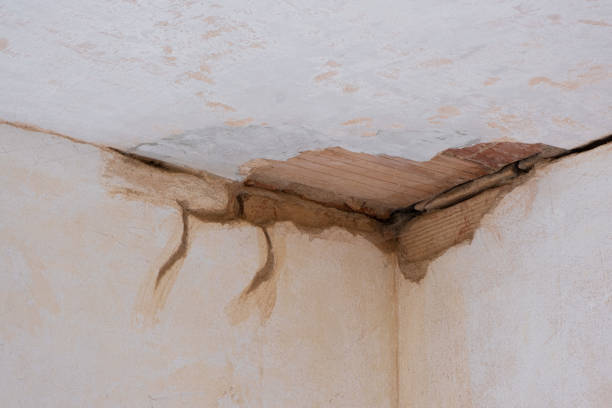 Best Flooded house restoration  in Sunnyside, CA