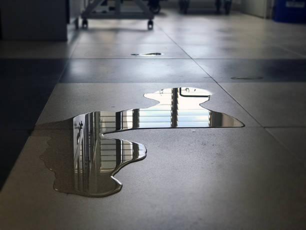 Best Commercial water damage restoration  in Sunnyside, CA