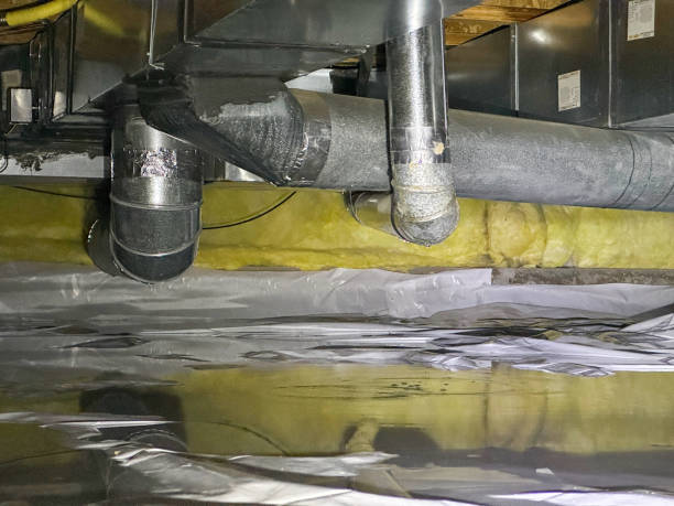 Best Mold removal after water damage  in Sunnyside, CA