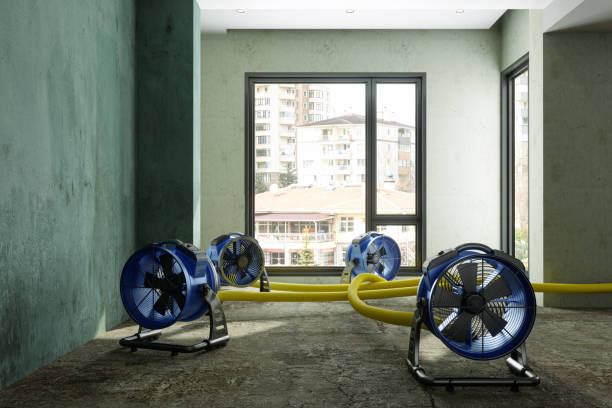 Best Commercial water damage restoration  in Sunnyside, CA