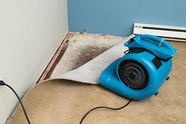 Best Residential water damage restoration  in Sunnyside, CA